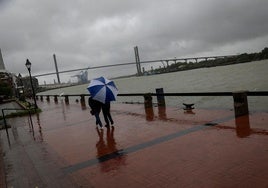 Al menos cuatro muertos tras el paso de la tormenta 'Debby' por Florida