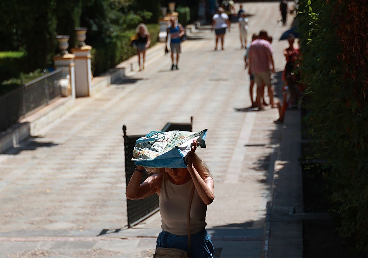 Una persona se resguarda del sol con una bolsa para soportar las altas temperaturas