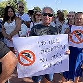 España es el tercer país de Europa con más casos humanos y muertos por el virus del Nilo