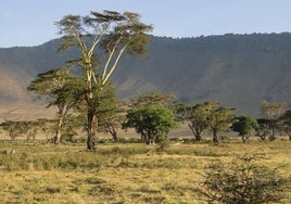 Repatrían a España a los turistas accidentados en Tanzania