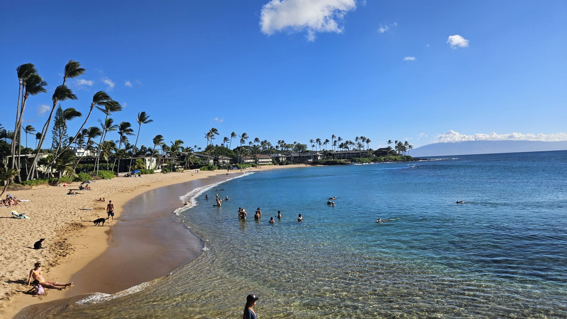 Conoce qué significa la bandera roja y negra presente en las playas