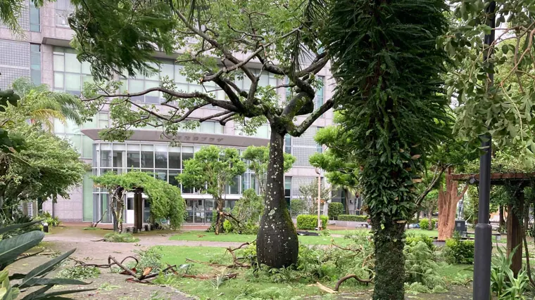 Image of Miyazaki City Hall in Japan after Typhoon Shanshan passed through