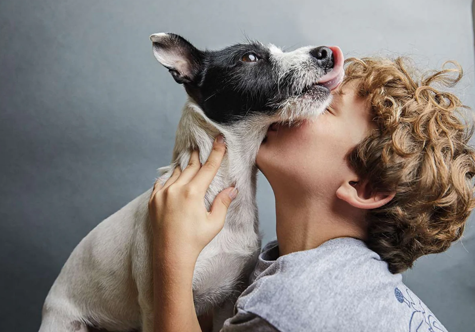 Estas son las razas de perro que los expertos recomiendan si tienes niños en casa