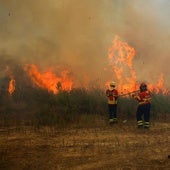 La UE envía ayuda a Portugal para luchar contra una oleada de incendios simultáneos