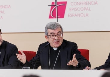 Argüello condena que las emociones sirvan para «cambiar de sexo» pero no para proteger los «sentimientos religiosos»
