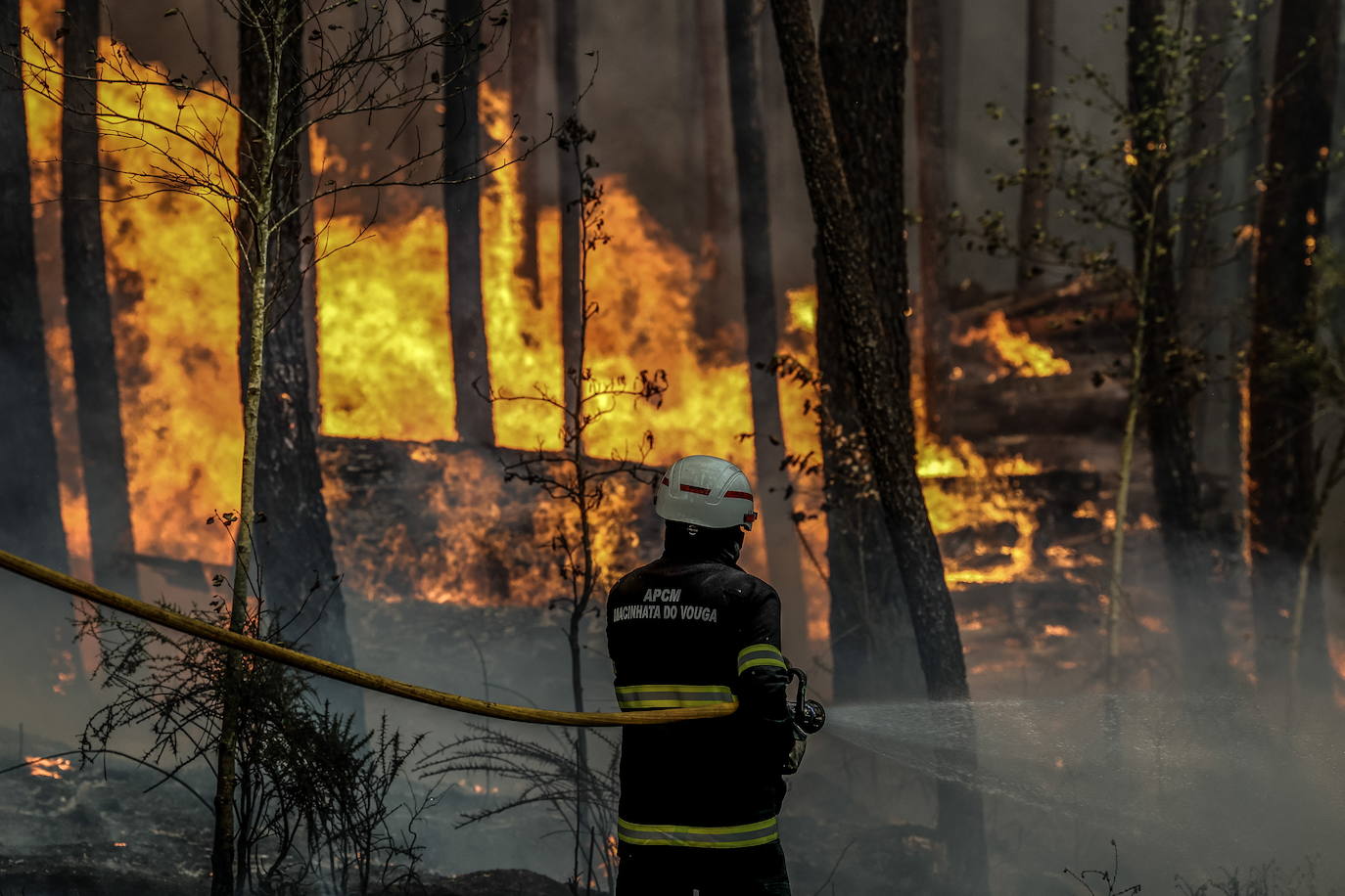 Un bombero en acción en el incendio forestal en Soutelo, Albergaria-a-Velha, Portugal.