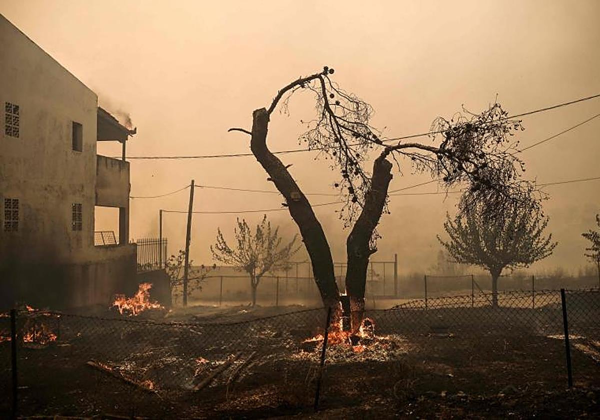 Esta fotografía muestra un árbol quemado en un jardín mientras se propaga un incendio forestal en Acharnes, al norte de Atenas