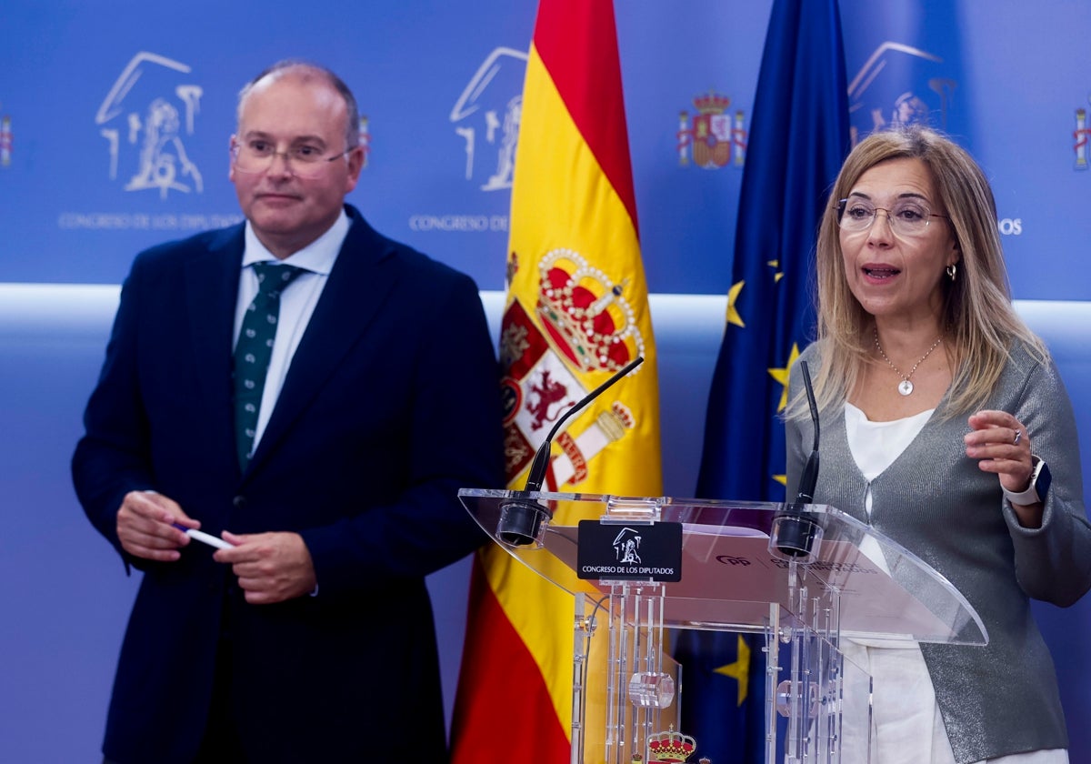 Miguel Tellado y Ana Alós explican en el Congreso la proposición de conciliación del PP