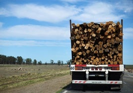 La Comisión Europea propone retrasar un año la polémica ley contra la deforestación