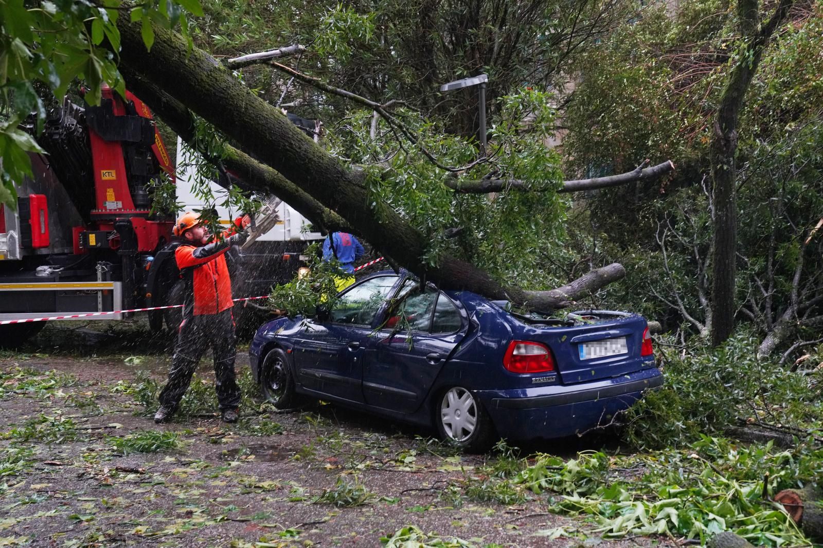 Varias personas trabajan en la recogida de un árbol caído sobre un coche en el campus universitario de Santiago de Compostela