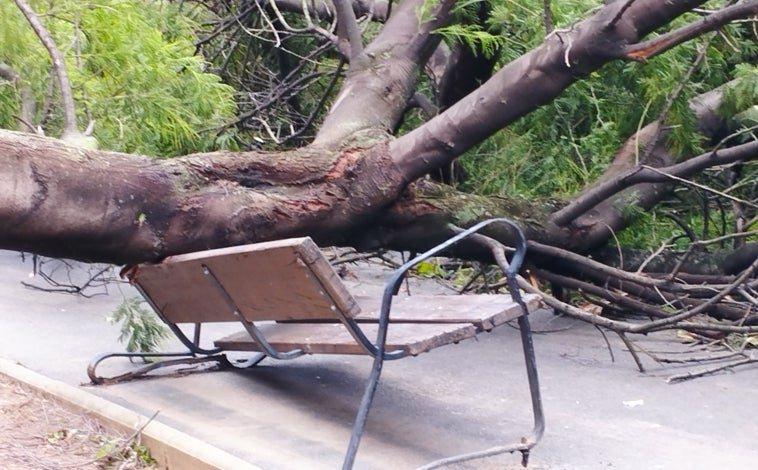 Imagen principal - Arriba, un árbol caído sobre un banco a causa del viento provocado por la borrasca Kirk en Baracaldo (Vizcaya). Abajo, izquierda, la abundante lluvia registrada en Santiago y a la derecha, los bomberos de Santander retiran un toldo derribado por el viento en la capital cántabra