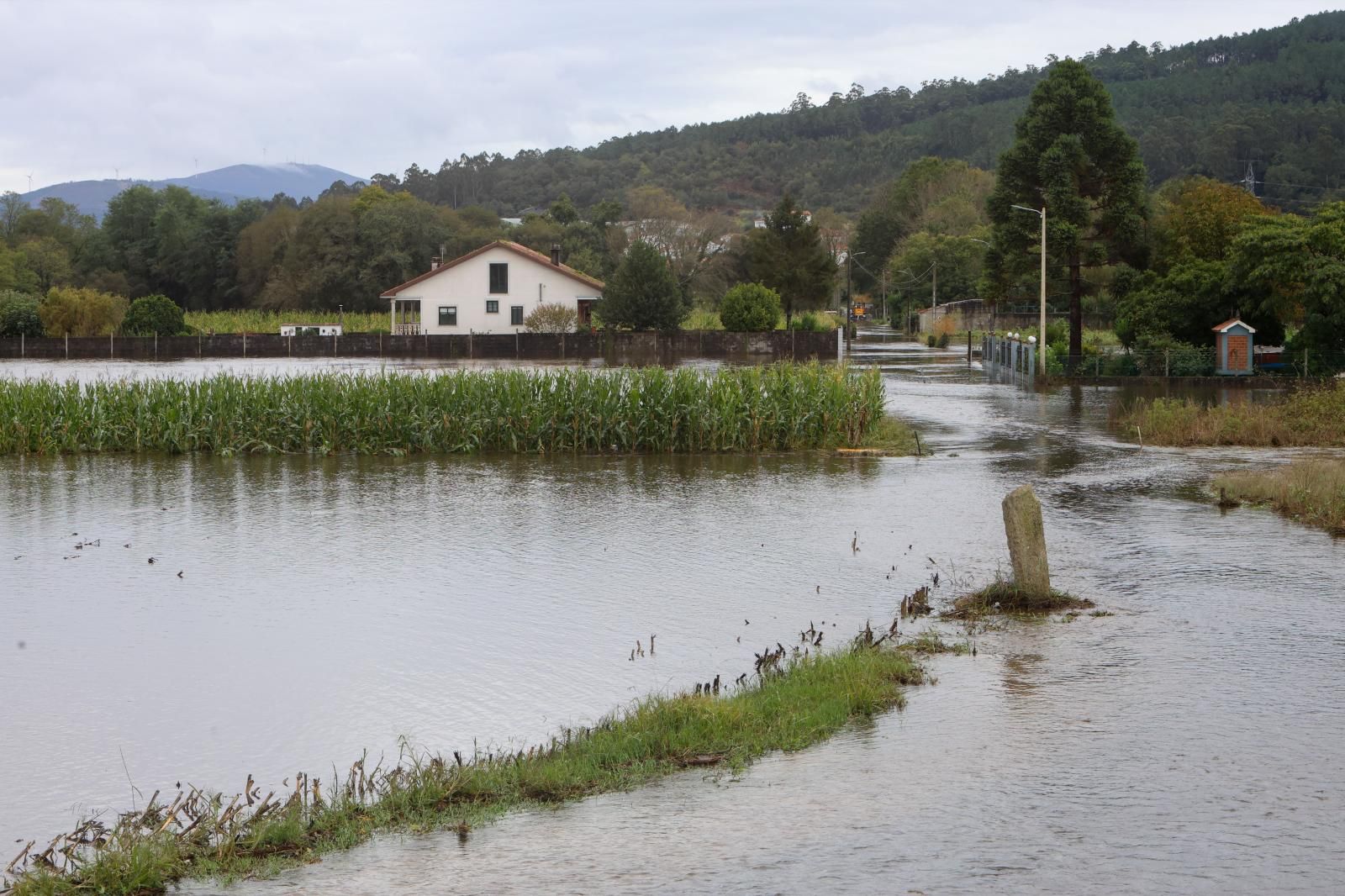 El desbordamiento del río Sar provoca inundaciones 