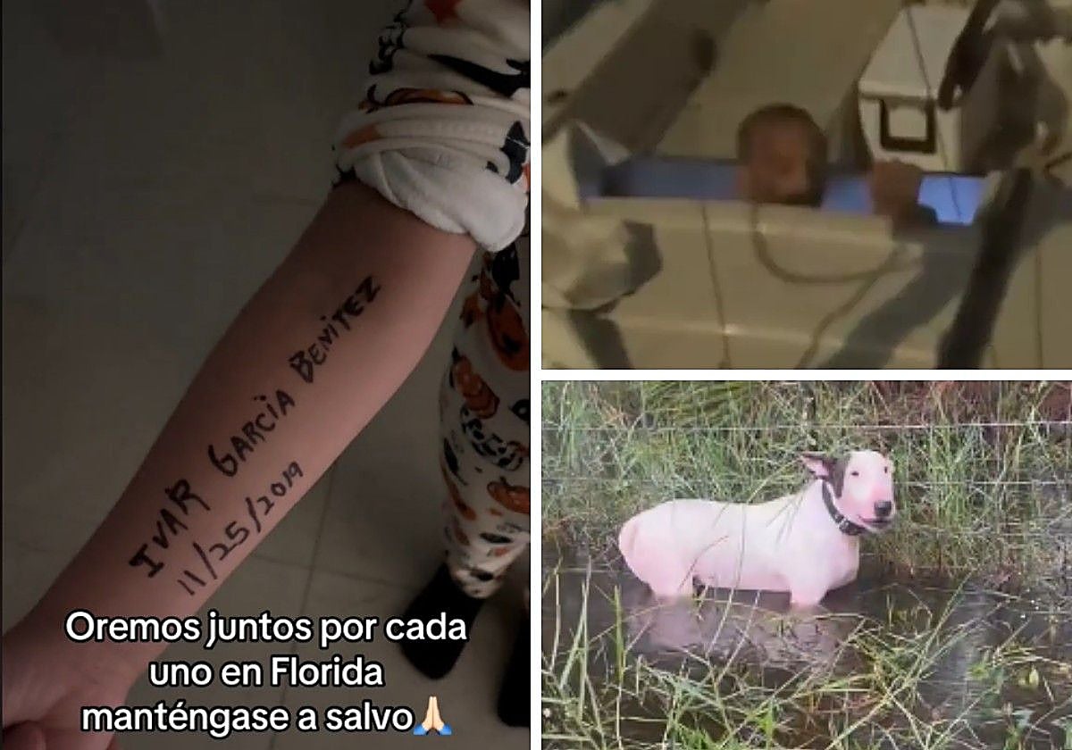 A la izquierda, una madre muestra como ha apuntado los datos de su hijo en el brazo. Arriba, el 'Teniente Dan' abandonado por las autoridades en su velero. Abajo a la derecha, un perro atado en una valla y abandonado en Florida
