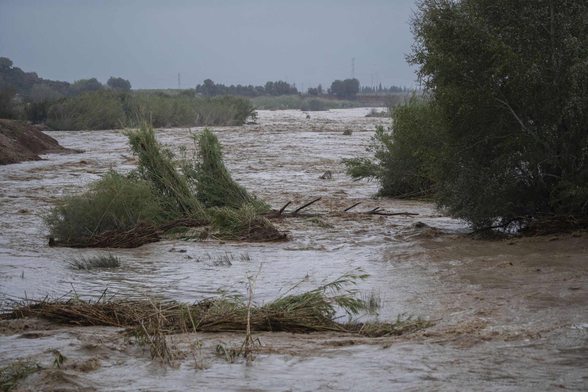 La crecida del río Magre ha destrozado todo tipo de vegetación a su paso