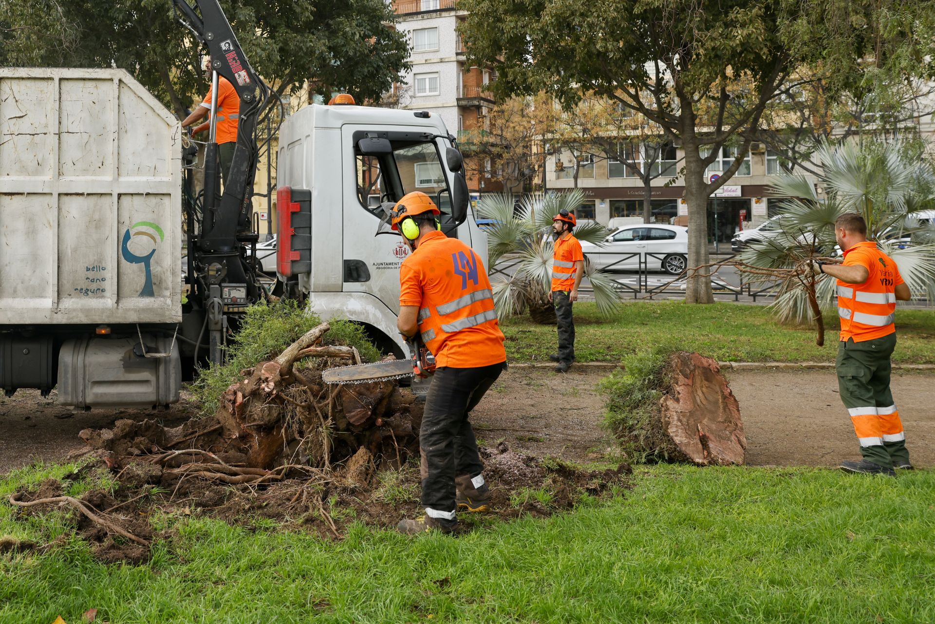 Trabajadores de la Sociedad de Agricultores de la Vega retiran vegetación dañada por la DANA en los jardines de la ciudad en Valencia