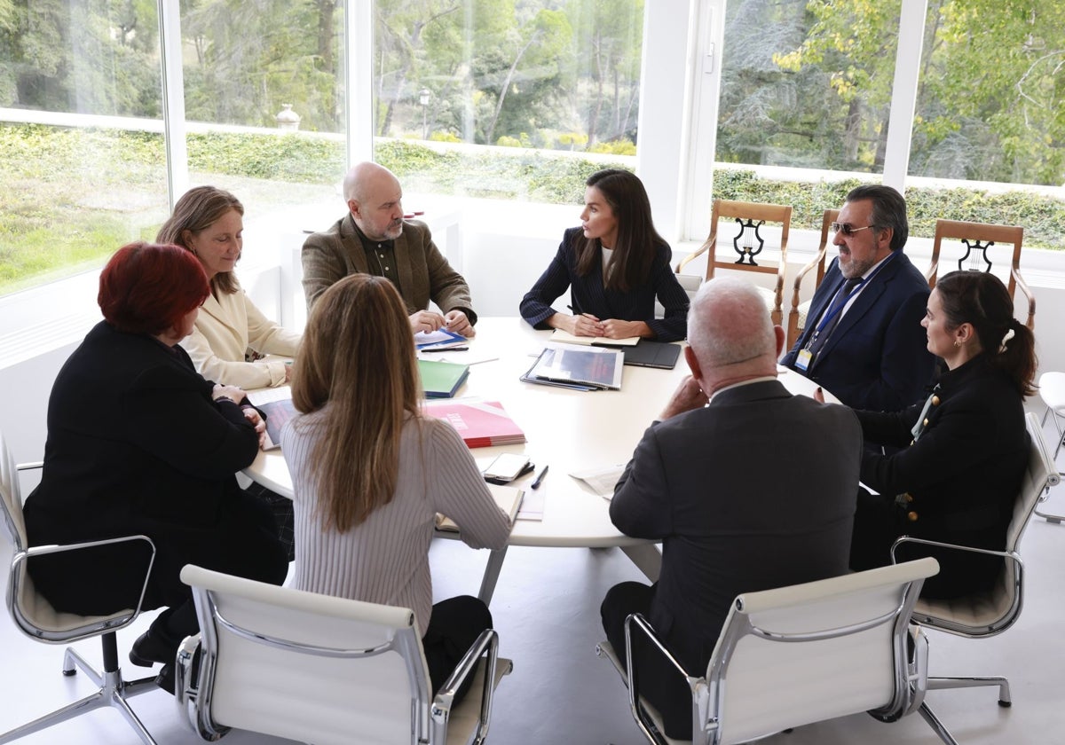 La Reina Letizia (c) mantiene una reunión de trabajo con representantes de entidades sociales de ámbito nacional