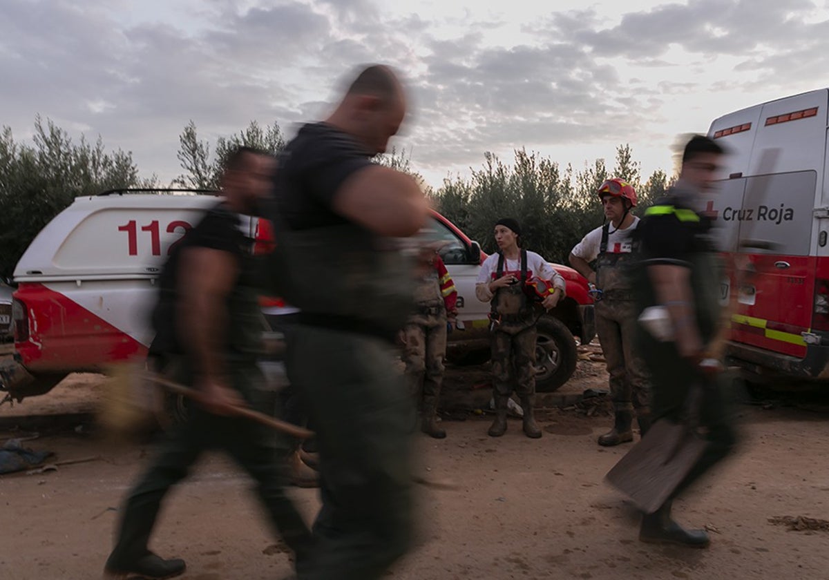 Técnicos de Cruz Roja trabajan con agentes y militares en un operativo coordinados por la Guardia Civil, en el entorno de la Albufera en las labores de búsqueda y recuperación de cadáveres