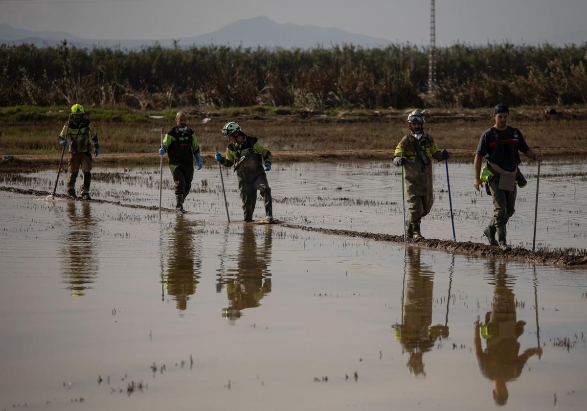 Bomberos del País Vasco durante la búsqueda de cadáveres en la Albufera de Valencia