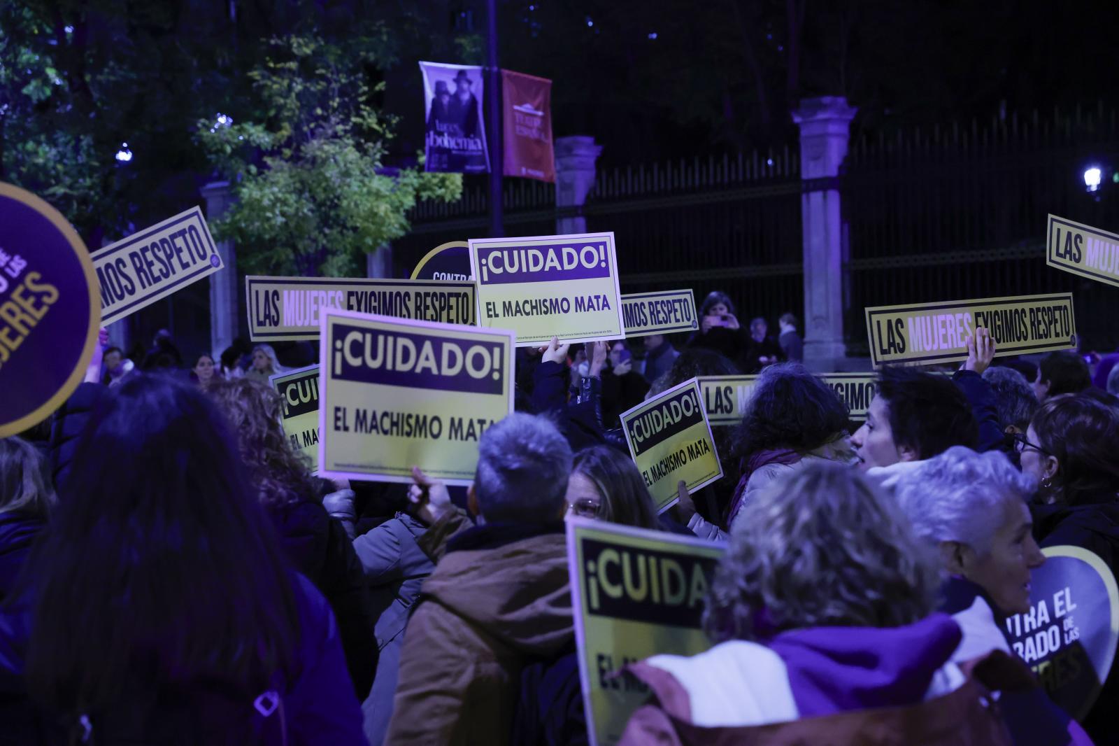 La manifestación del 25N, en imágenes