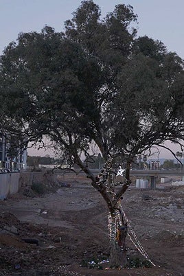 El árbol de Navidad del barranco del Poyo