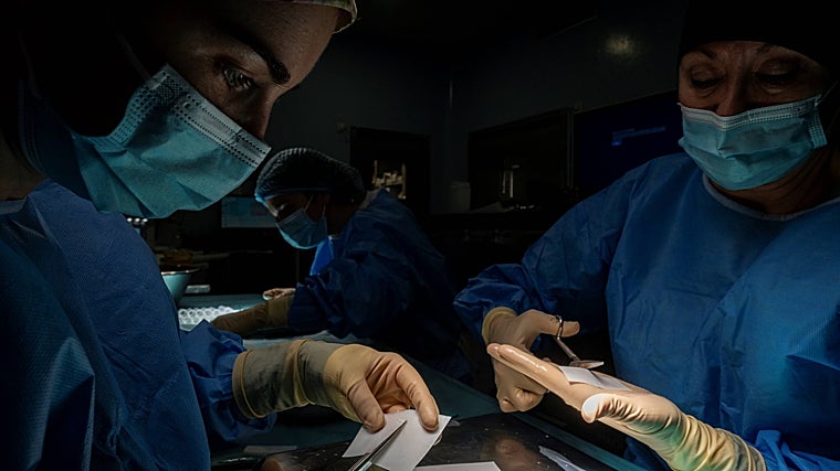 Las doctoras González y Casares preparan los parches de membrana amniótica en el quirófano para favorecer la esterilidad del proceso