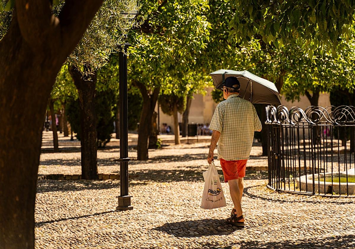 Un cordobes se resguarda del sol bajo un paraguas en una imagen de archivo