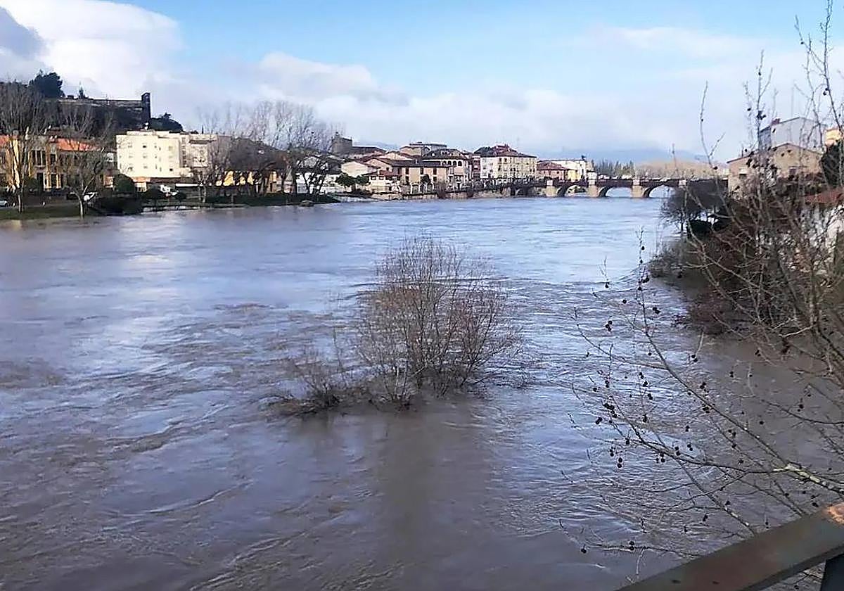 Encuentran el cadáver de una persona en la ribera del río Ebro
