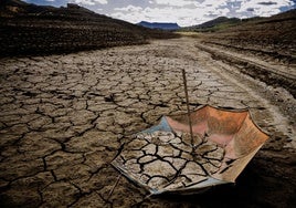 Bruselas advierte que el 74% del territorio español está en riesgo de desertificación