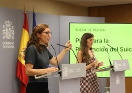 Los psiquiatras se desmarcan del plan de salud mental del Gobierno: «No nos representa»