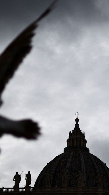 Una gaviota vuela en la Plaza de San Pedro, mientras el Papa Francisco continúa su hospitalización, en el Vaticano
