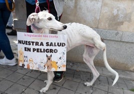 Los veterinarios convocan una concentración frente al Ministerio de Agricultura por la polémica ley de medicamentos