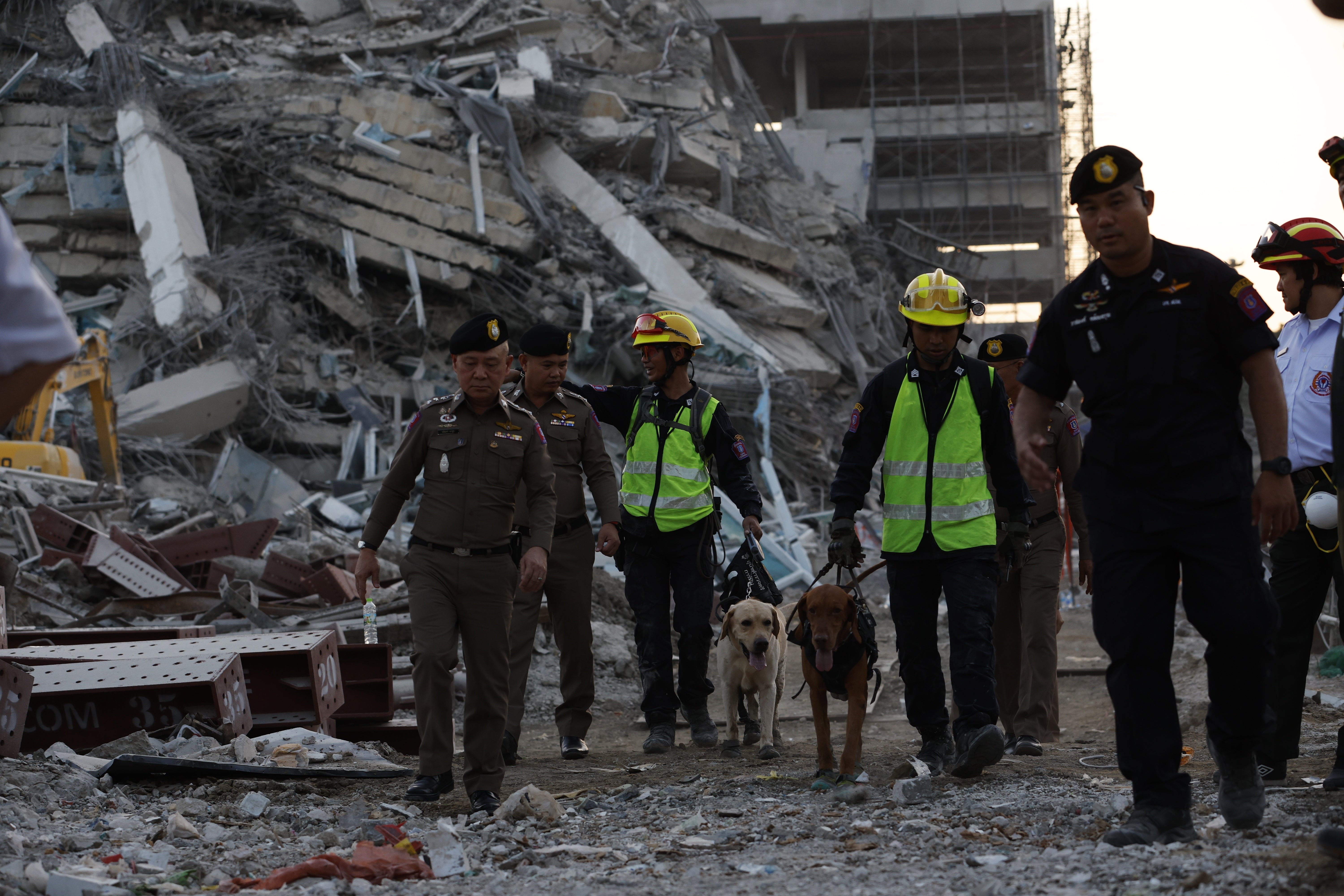 Los equipos de rescate buscan supervivientes con perros rastreadores en el lugar donde se derrumbó un edificio tras el terremoto de Bangkok