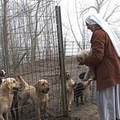 Perros a 1.100 euros: el negocio real de las exclarisas de Belorado