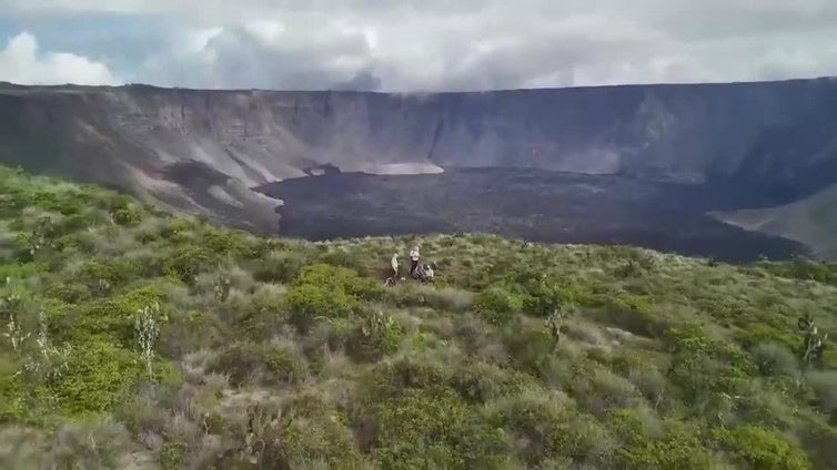 Una expedición científica recopila datos clave en las Islas Galápagos para conservar a la singular iguana rosada