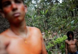 Alerta epidemiológica en Ecuador tras la muerte de ocho niños indígenas en la Amazonia