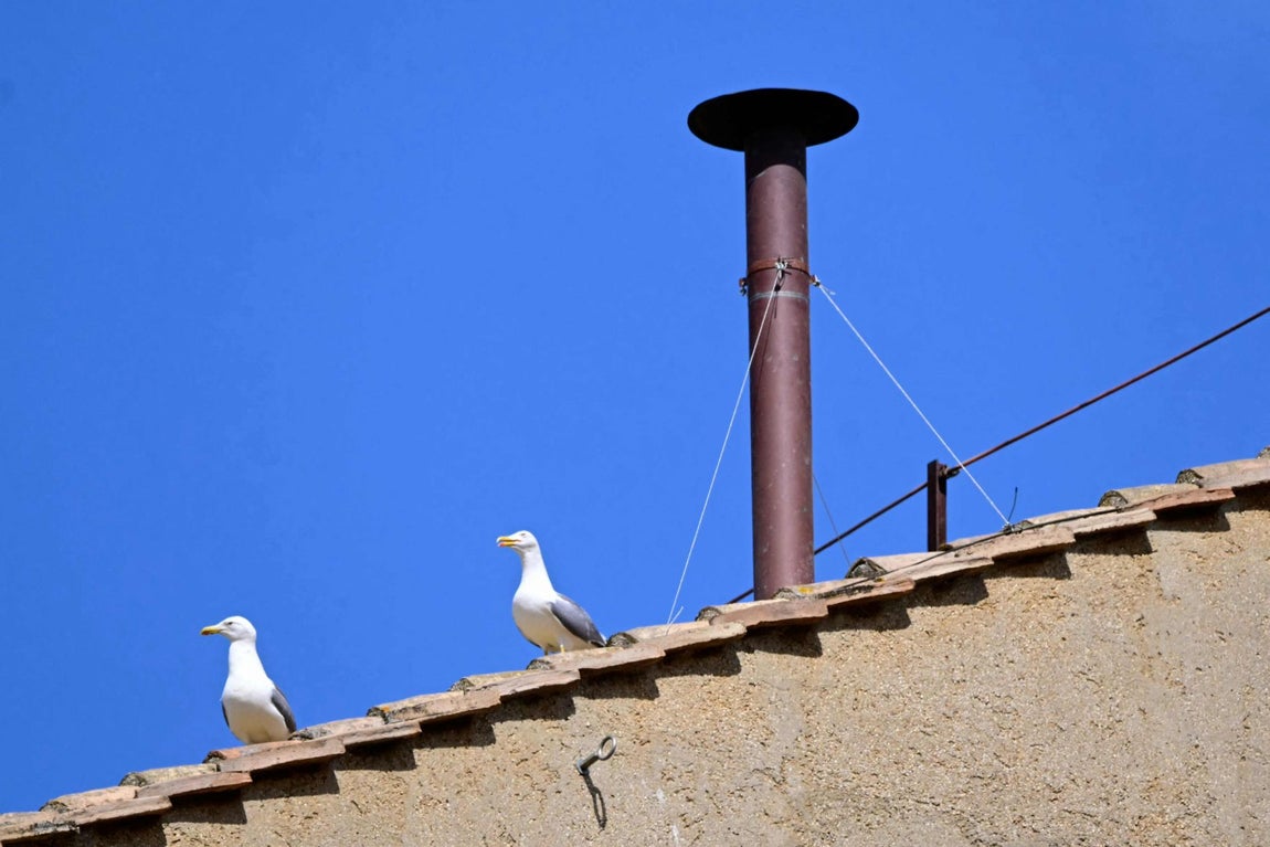 Vista de la chimenea colocada sobre la Capilla Sixtina en la mañana del segundo día de cónclave para elegir al nuevo Papa.