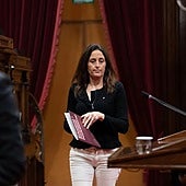 El Parlamento europeo condena el acoso «separatista» a la misión que evaluó el catalán en los colegios