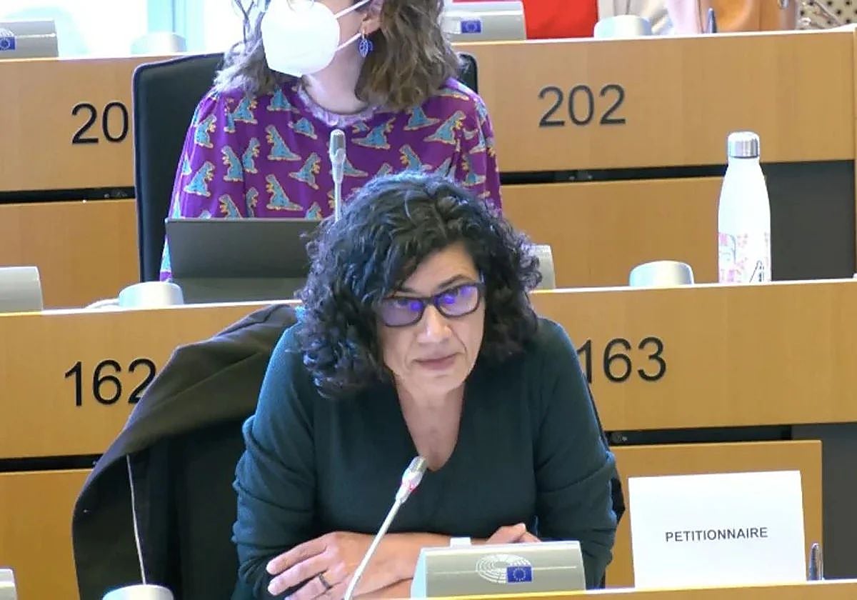 La presidenta de la AEB en una comparecencia en el Parlamento europeo