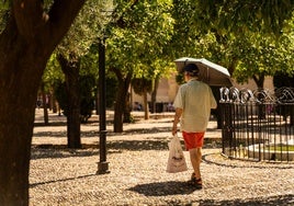 La Aemet pone fecha al inicio del verano con temperaturas que superarán los 35ºC