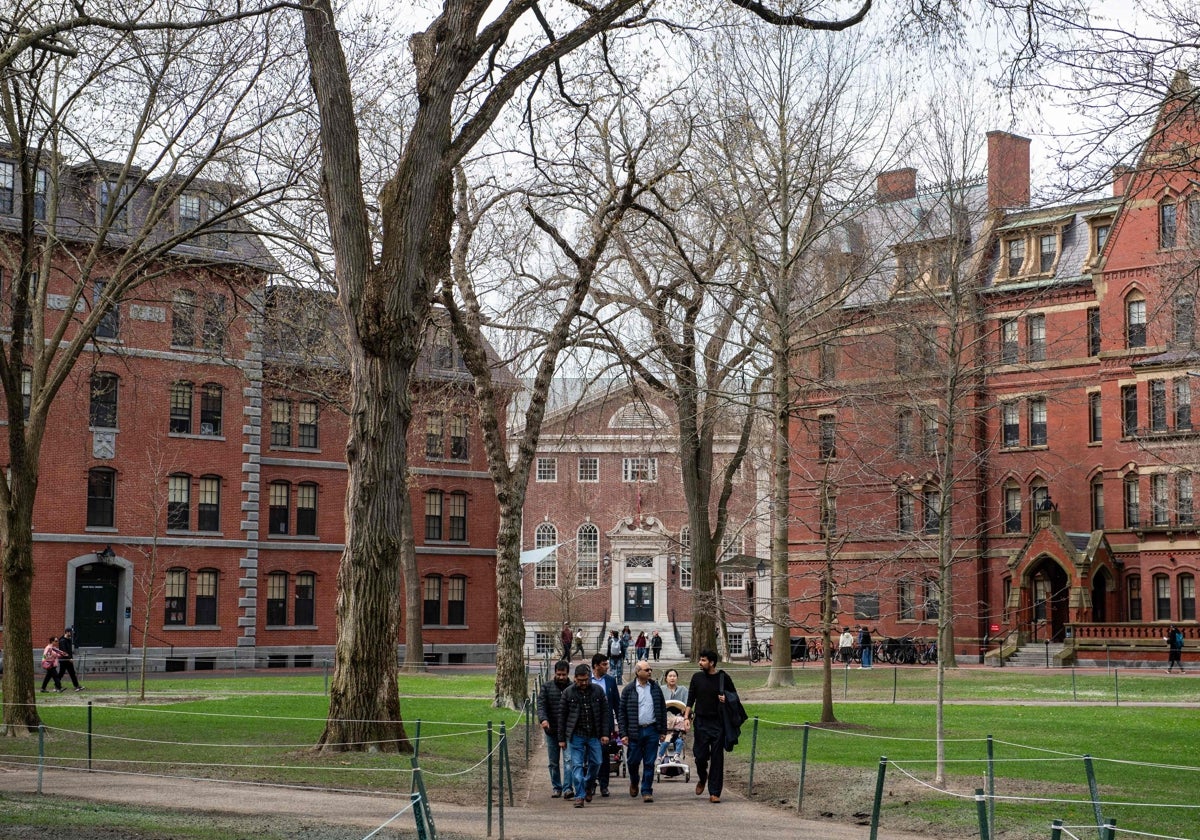 Variso estudiantes en el campus de la Universidad de Harvard en Cambridge, Massachusetts