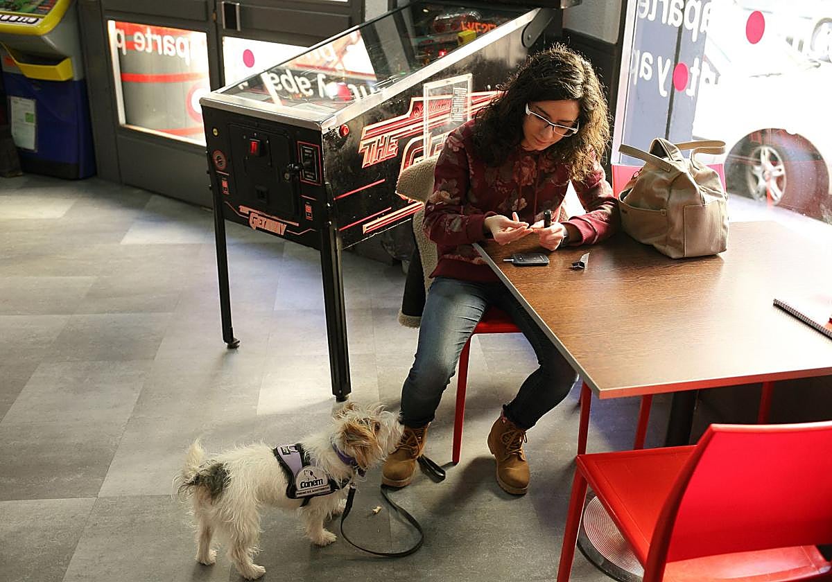 En la imagen, un perro de asistencia junto a una enferma de diabetes en un bar