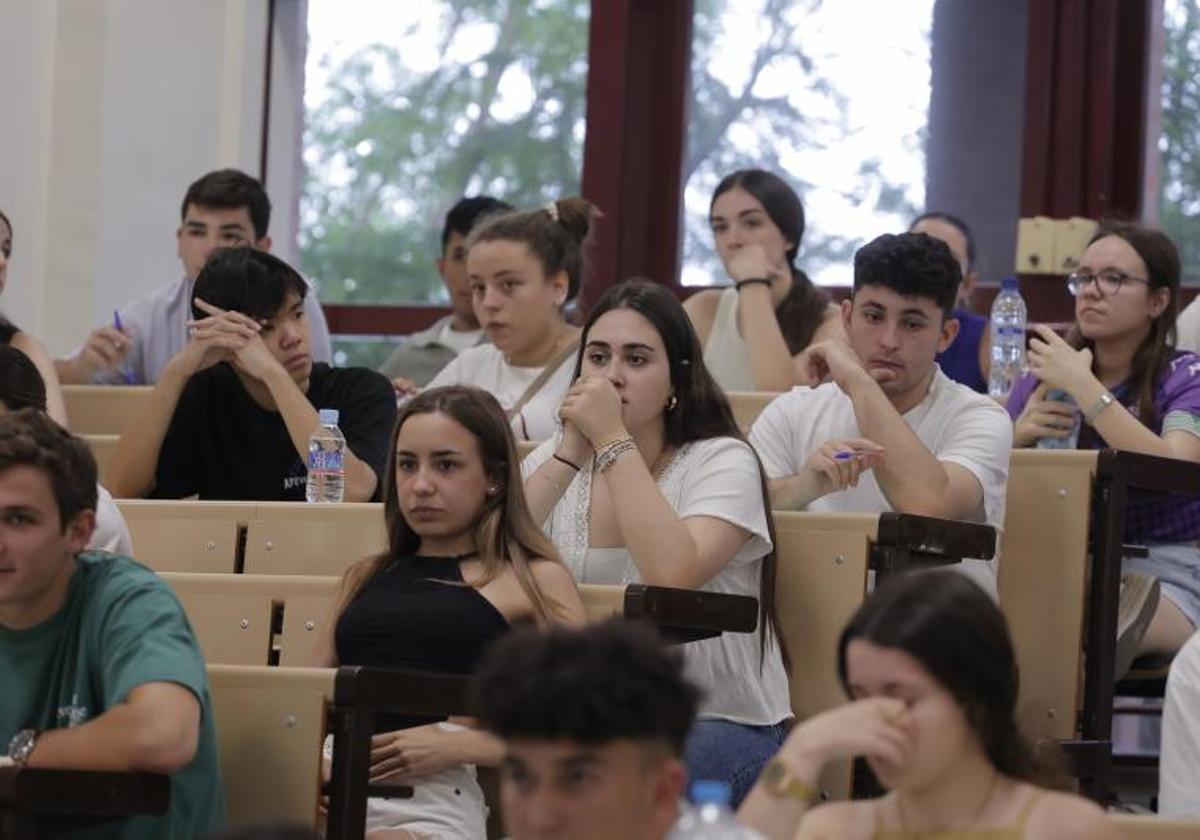 La carrera con la que puedes ganar más de 3.000 euros al mes en España y no tiene casi competencia
