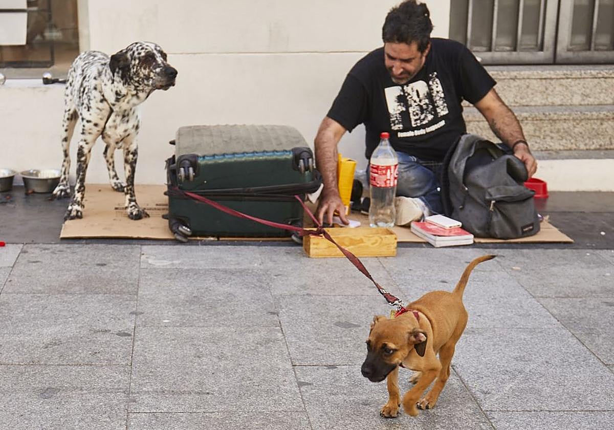 Una persona sin hogar y dos de sus perros pidiendo en la calle