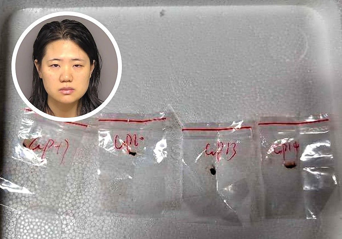 Los hongos incautados por los agentes de aduanas de EE.UU. En la imagen pequeña, Yunqing Jiang, la investigadora de la Universidad de Michigan acusada