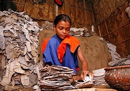 Alrededor de 138 millones de niños sufrían trabajo infantil en 2024, un 50% menos que en el año 2000