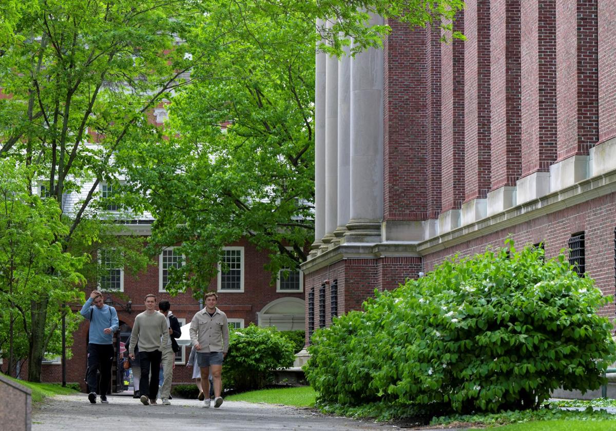 Estudiantes de Harvard, EE.UU.