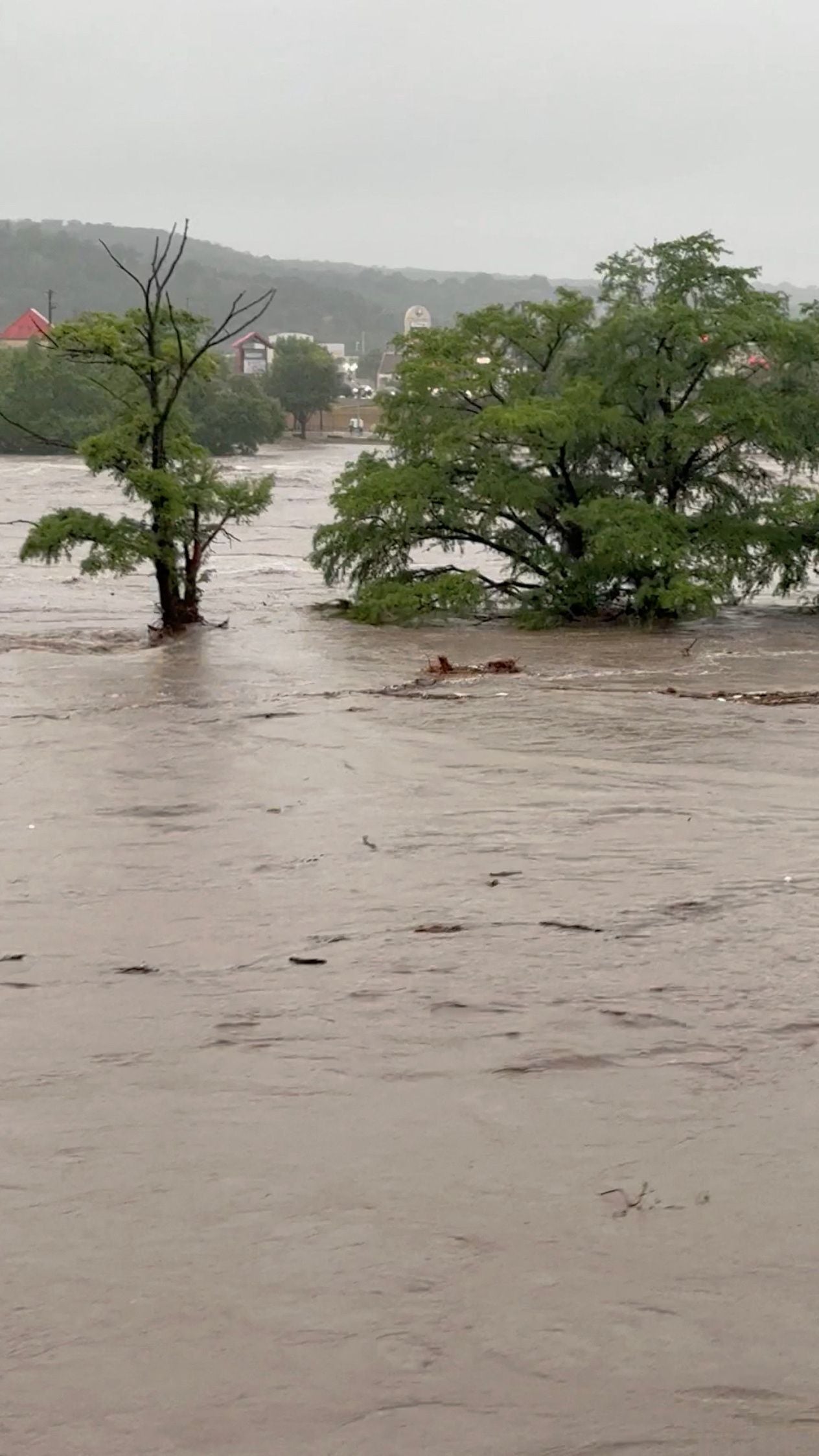 Árboles parcialmente sumergidos tras las fuertes inundaciones causadas por las tormentas en el desbordado río Guadalupe en Kerrville, Texas