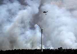 Declarado el estado de crisis al este de Alemania por el mayor incendio forestal de las últimas tres décadas