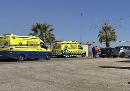 Un hombre muere por arma de fuego y otro resulta herido de gravedad en Villanueva de la Serena (Badajoz)