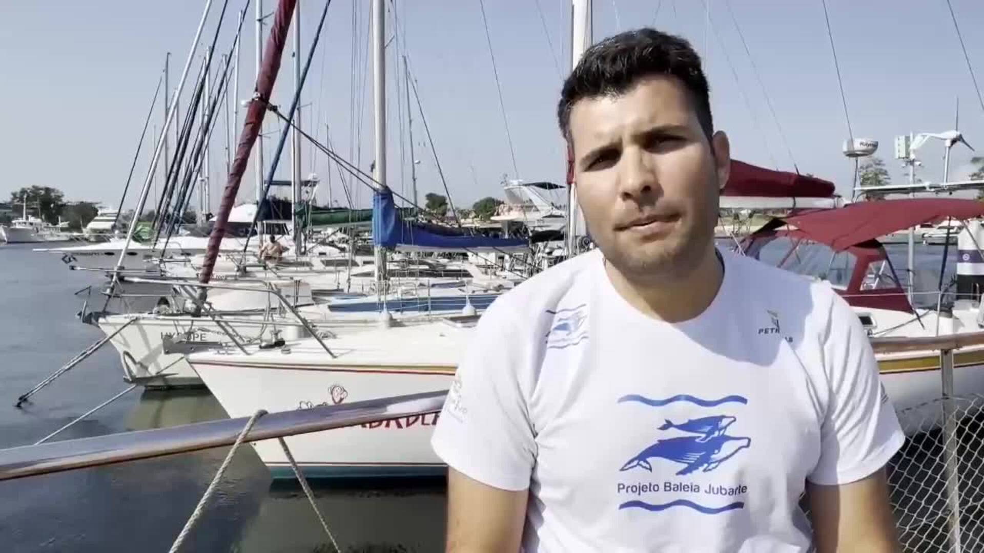 Avistamiento de ballenas jorobadas en Río marca el Día Mundial de las  Ballenas y los Delfines